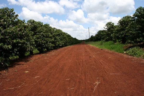 this road leads to good coffee this road leads to good coffee