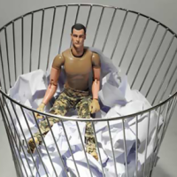 The Fall of the Alpha Male