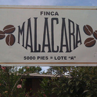 The Finca Malacara A: The Coffee, The Country, The Community The Finca Malacara A: The Coffee, The Country, The Community