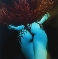 Sweet Cheeks